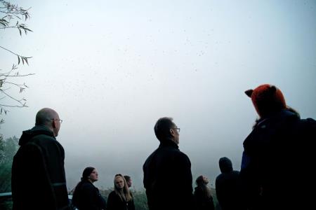 Obrockanje Zdravci 12